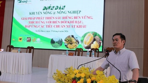 Lâm Đồng kết nối giải pháp phát triển sầu riêng bền vững, đáp ứng yêu cầu xuất khẩu