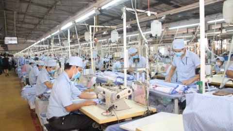 May mặc Bình Dương (BDG) mạnh tay chia cổ tức tiền mặt tỷ lệ 50%