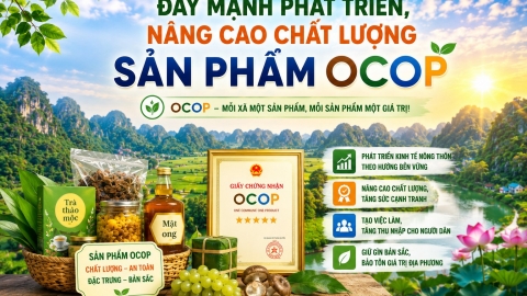 Ninh Bình: Nâng cao chất lượng sản phẩm OCOP trên địa bàn tỉnh