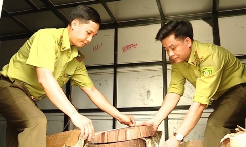 Thu giữ hơn 100 khúc gỗ nghiến dạng thớt nhập lậu tại Hà Giang