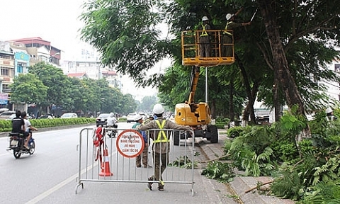 Hà Nội tiến hành cắt tỉa cây xanh để hạn chế gãy, đổ trong mùa mưa bão
