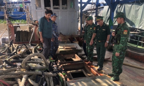 Tạm giữ tàu cá chở 18.000 lít dầu DO không rõ nguồn gốc tại Kiên Giang