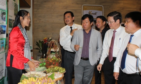 Du lịch Bà Rịa - Vũng Tàu và Đông Nam Bộ đi tìm con đường mới