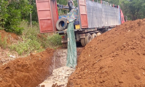 Tiêu hủy 5,5 tấn cá tầm nhập lậu được vận chuyển trái phép qua biên giới