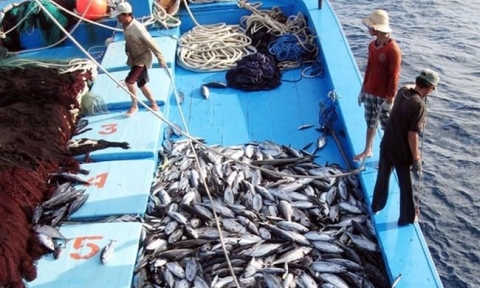 Bà Rịa – Vũng Tàu giám sát, xử lý nghiêm các hành vi vi phạm trong lĩnh vực khai thác hải sản