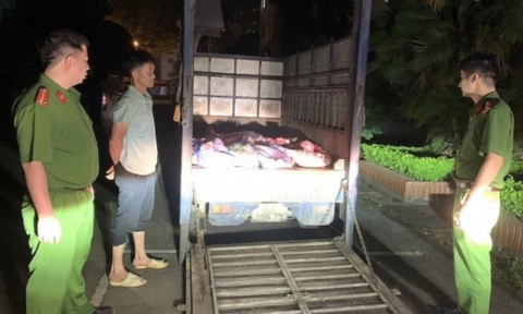 Vĩnh Phúc : Tiêu hủy hơn 4 tấn thịt lợn không đảm bảo an toàn thực phẩm
