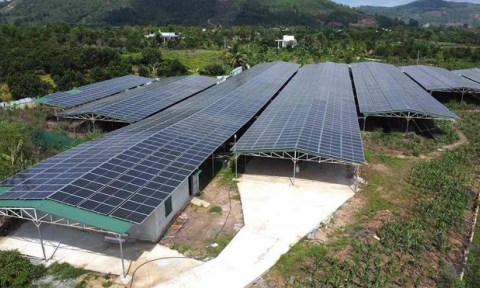 Đồng Nai: Đã kiểm tra dự án điện mặt trời của Công ty TNHH Solar Thành Đạt