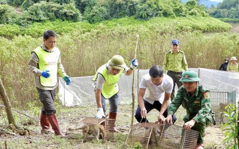 Hà Tĩnh: Tái thả 36 cá thể động vật hoang dã về môi trường tự nhiên