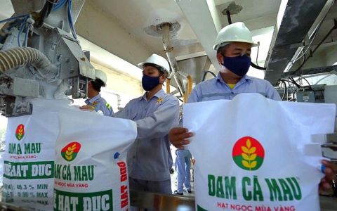 Đạm Cà Mau ghi nhận lãi ròng tăng mạnh, vượt kế hoạch 33%