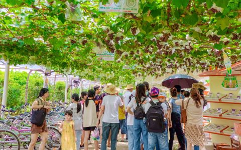 TP. Hồ Chí Minh: Du lịch nông nghiệp đã có bước phát triển khởi sắc