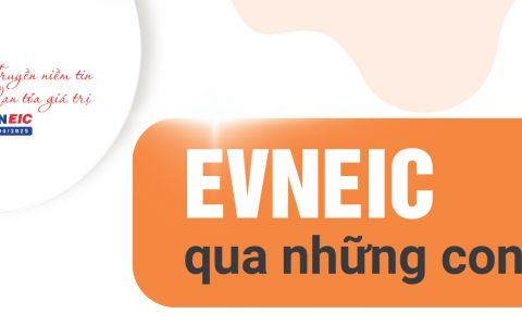 EVNEIC: Hành trình 30 năm qua những con số