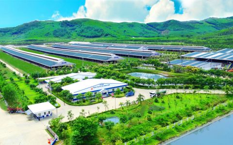 Vinamilk – Thương hiệu mang đậm “bản sắc” TP.HCM trong hành trình 50 năm kiến tạo, vươn tầm 