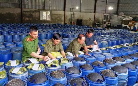 Nghệ An xử lý hơn 1.000 vụ vi phạm liên quan đến buôn lậu, gian lận thương mại và hàng giả trong quý I/2025
