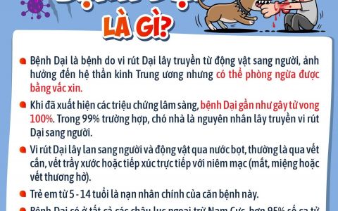 Những thông tin cha mẹ cần biết về bệnh dại để bảo vệ con