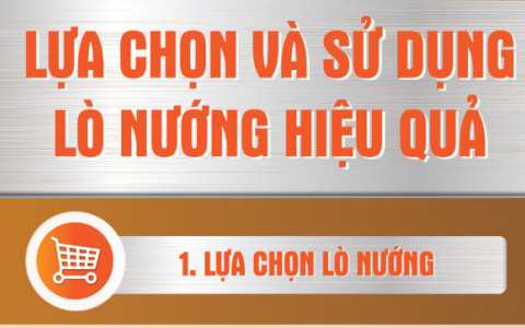 Lựa chọn và sử dụng lò nướng hiệu quả