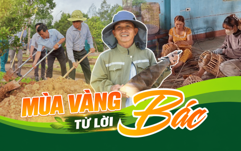 Mái nhà nào cũng có Bác - Kỳ 3: Từ bức ảnh Bác đến những mùa vàng trên vùng đất mới