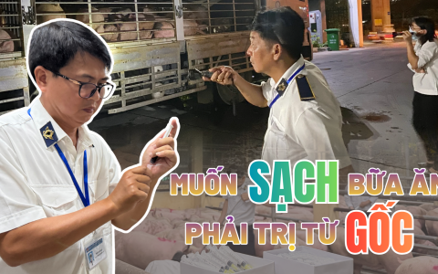 Những người giữ an toàn cho bữa ăn của 14 triệu dân TP.HCM - Kỳ 4: Sau vụ 35 tấn heo nhiễm chất cấm, làm gì để không còn chuyến xe vi phạm lọt cửa?
