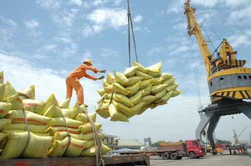 Xuất khẩu lúa gạo tiếp tục lao dốc