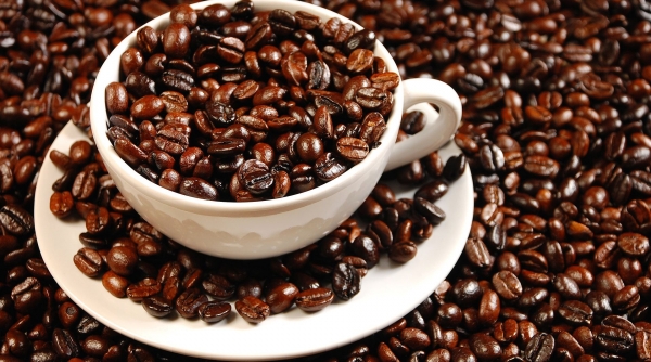 Bài 9- Kinh doanh cà phê không có caffein (Đắk Lắk): Bài toán quản lý còn bỏ ngỏ?