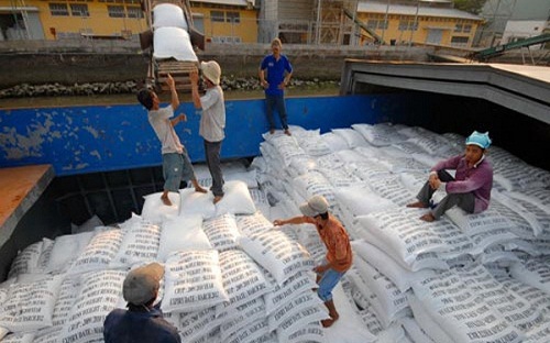 Xuất khẩu gạo của việt Nam giảm kỷ lục trong gần 10 năm qua