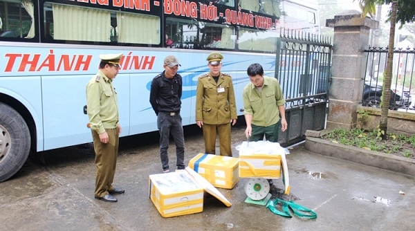 Quảng Ninh: Liên tiếp bắt giữ nhiều lô hải sản, bốc mùi hôi thối