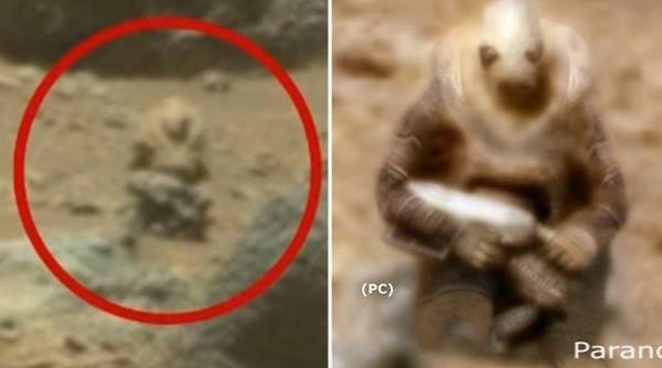 Tìm thấy "người lính ngoài hành tinh" hóa đá trên sao Hỏa