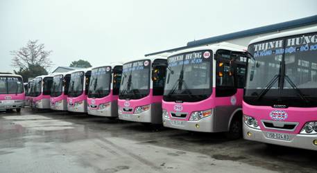 Hải Phòng: Chấp thuận mở tuyến vận tải hành khách nội tỉnh bằng xe buýt