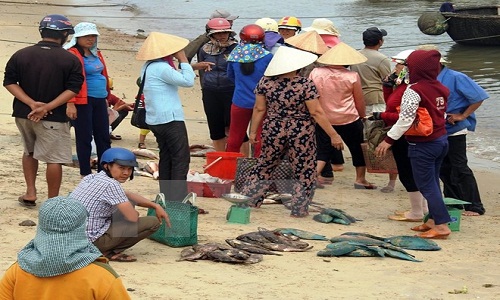 Người dân tỉnh Quảng Trị nhận tiền bồi thường sự cố môi trường biển đợt 2
