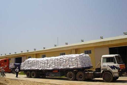 Hỗ trợ gần 1.700 tấn gạo cho nhân dân 2 tỉnh