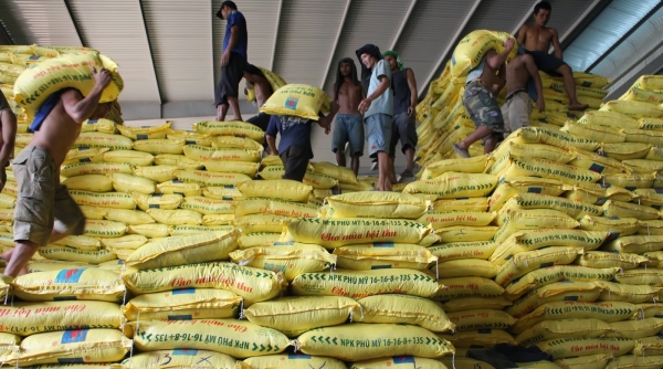Mỗi năm Việt Nam tiêu thụ 11 triệu tấn phân bón