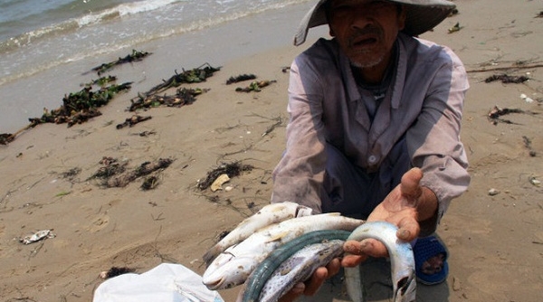 Tiếp tục duy trì quan trắc môi trường biển 4 tỉnh miền Trung