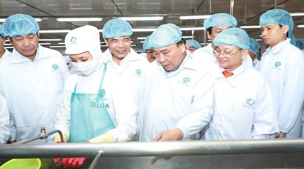 Thủ tướng thăm mô hình chế biến tôm xuất khẩu trước Hội nghị về phát triển ngành tôm Việt Nam