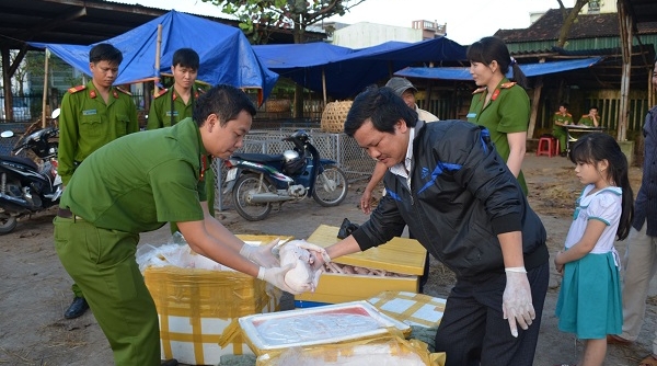 Quảng Ngãi: Bắt giữ xe tải chở 150 con heo sữa không nguồn gốc