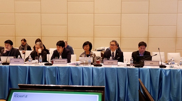 Khai mạc Cuộc họp lần thứ 44 Nhóm chuyên gia APEC về Sở hữu trí tuệ (IPEG 44)