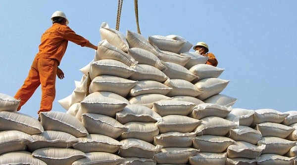 Thương gia găm hàng, giá gạo xuất khẩu của Việt Nam tăng mạnh