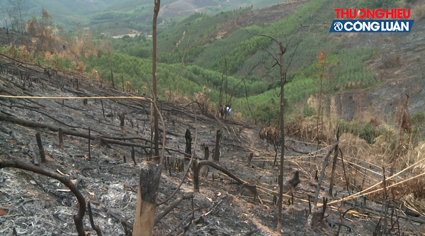 Kỳ 2- Vụ phá rừng ở Bắc Giang: Trách nhiệm thuộc về ai?