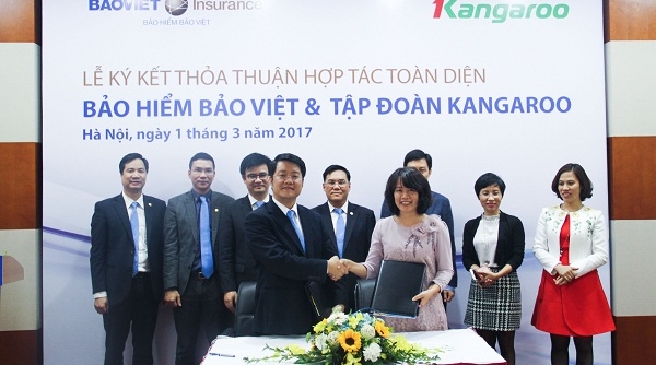 Bảo hiểm Bảo Việt ký kết hợp tác với Kangaroo