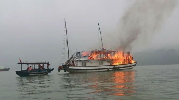 Quảng Ninh: Chấm dứt hoạt động 6 tàu du lịch trên Vịnh Hạ Long