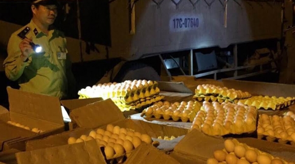 Quảng Ninh: Bắt giữ và tiêu hủy 25.000 quả trứng gà Trung Quốc