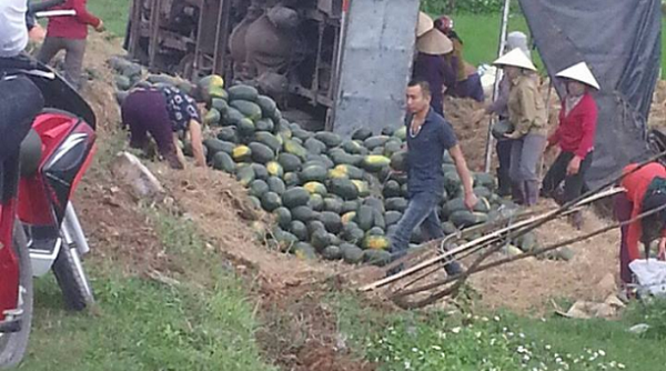 Hà Tĩnh: Người dân giúp tài xế gom 20 tấn dưa đỏ khi xe tải lật xuống ruộng