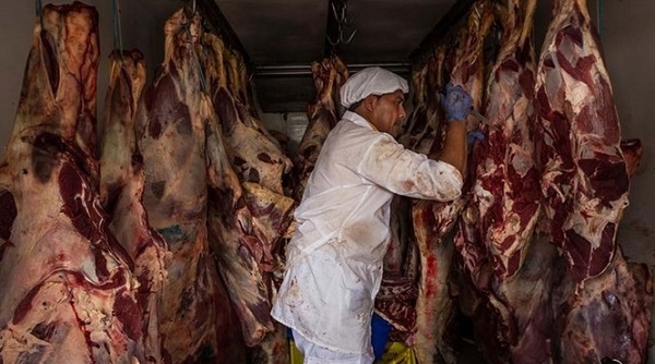 3.000 tấn thịt bẩn từ Brazil đã “chảy” về Việt Nam