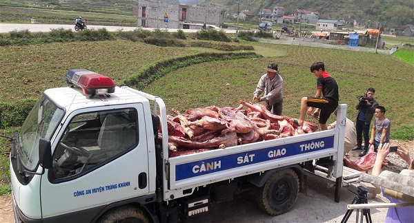 Cao Bằng: Tiêu hủy hơn 4,2 tấn thịt lợn không đủ tiêu chuẩn an toàn vệ sinh thực phẩm