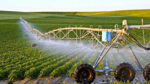 100.000 tỷ đồng lãi suất thấp cho nông nghiệp công nghệ cao