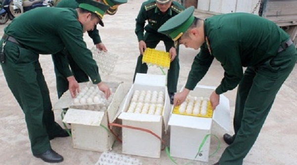 Đồn Biên phòng Bắc Sơn: Bắt giữ 24.000 quả trứng gà nhập lậu