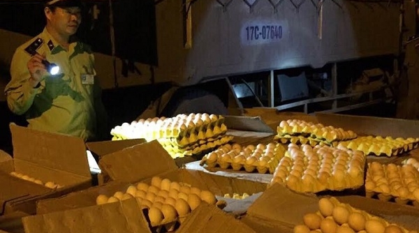 Quảng Ninh: Bắt giữ và tiêu hủy hơn 28.000 quả trứng gà không rõ nguồn gốc