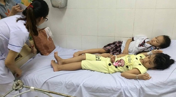 Hà Tĩnh: Ăn quả ngô đồng, 9 học sinh tiểu học nhập viện cấp cứu