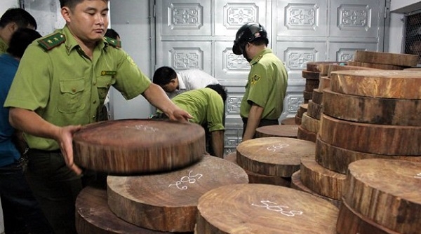 Hà Giang: Bắt giữ 1.174 khúc gỗ nghiến dạng thớt