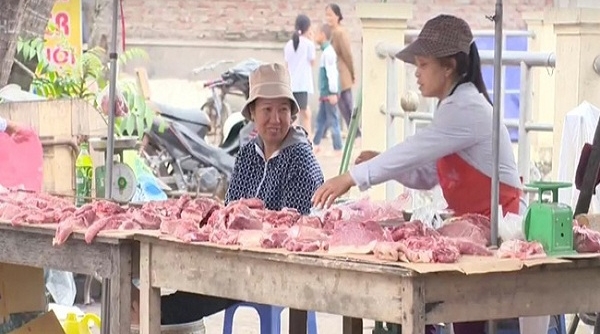 Bộ NN&PTNT đề nghị ngừng tạm nhập tái xuất thịt và phủ tạng