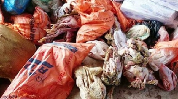 Hà Tĩnh: Bắt giữ hơn 1 tấn thực phẩm bẩn