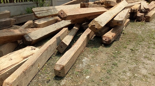 Hà Tĩnh: Xin gỗ không thành, đánh trọng thương trạm trưởng trạm bảo vệ rừng